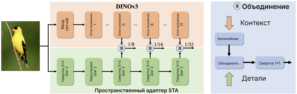 DEIMv2: признаки DINOv3 и пространственный адаптер STA