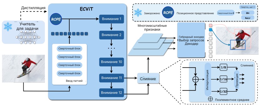 EdgeCrafter: архитектура ECViT и ECDet