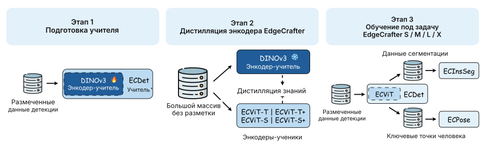 EdgeCrafter: три этапа обучения компактной модели